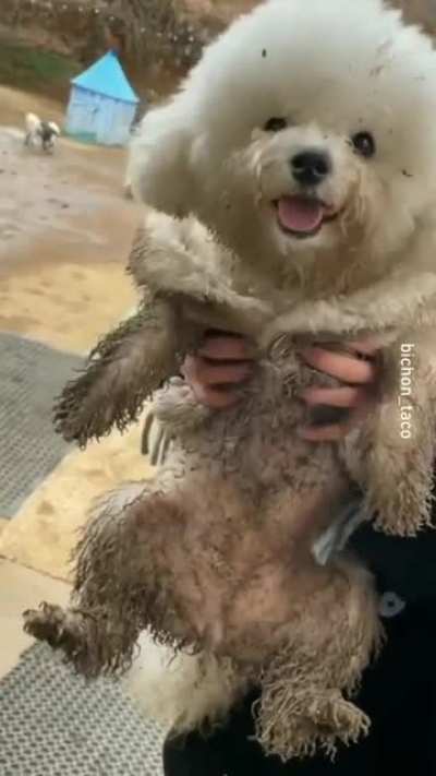Dirty dirty boi