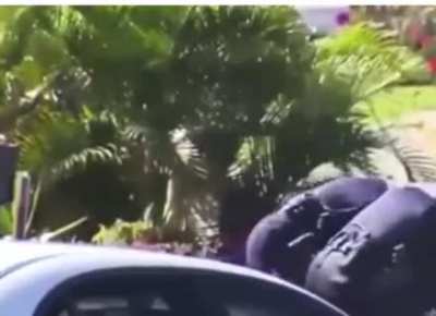 Woman complains to cops and when frustrated, hits one with dog poop