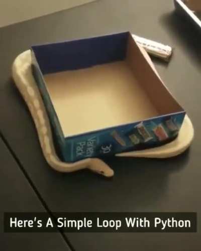 Loops Simply Explained