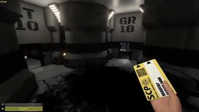 1st Time Getting Jump scared In SCPSL