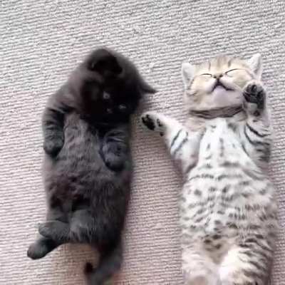 😍
