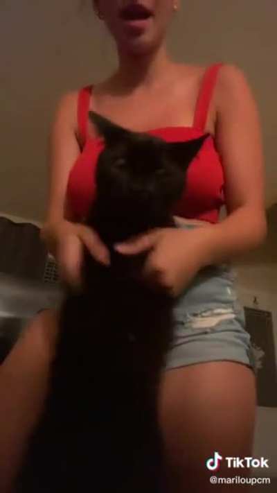 Lucky cat