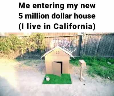 Dang, that's cheap!