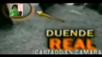 repollo