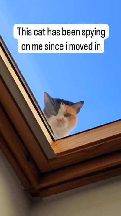 Surveillance camera
