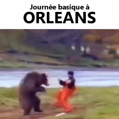 merci Dylan2