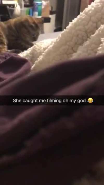 Busted
