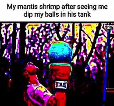 Balls in yo jaws