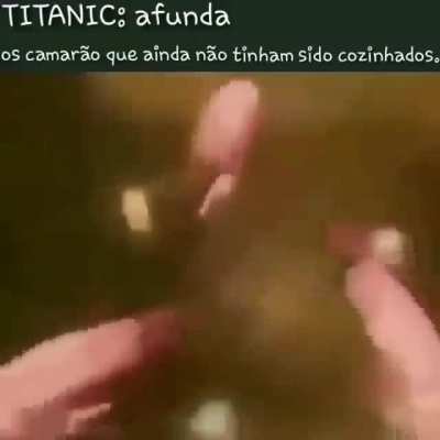 camarão
