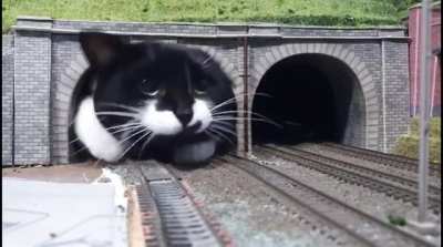 The name’s Thomas
