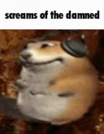 the