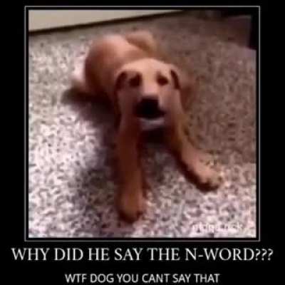 Anyone know the name of the music when the caption shows up? idk how to find it