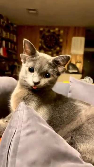 Rare genetic mutation