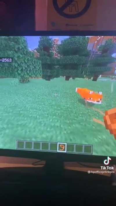 The end of the video