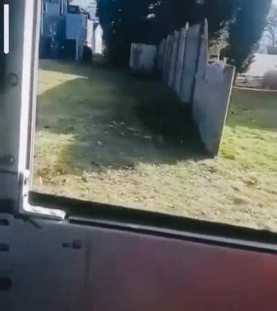 Mailman returns