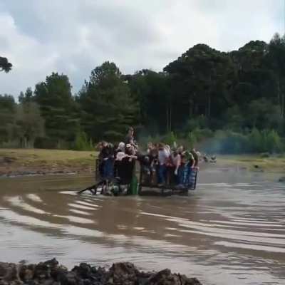 Looks fun