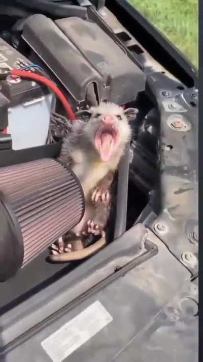 VW