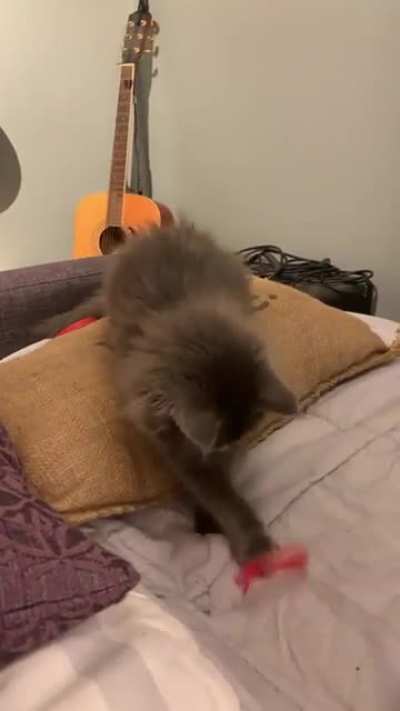 Do startles count?