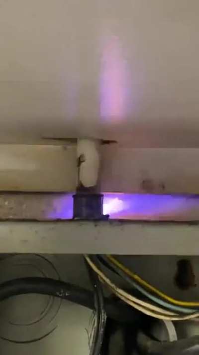 I wasn’t expecting this when the owner said he had a little problem with a circuit