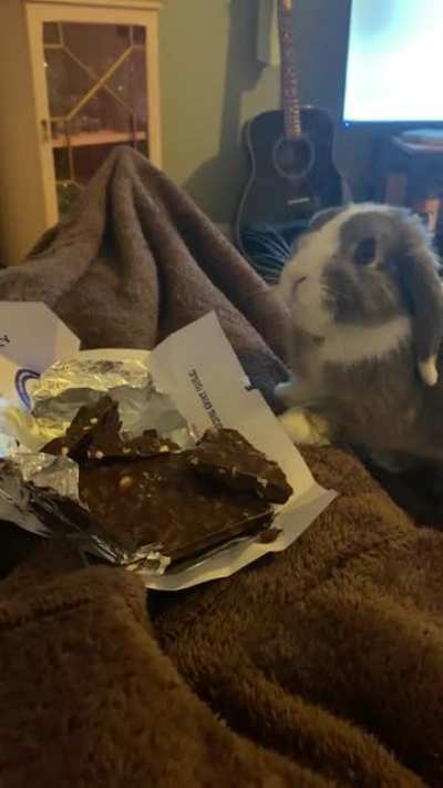 Too quick for his own good! Big fan of Tony’s chocoloney