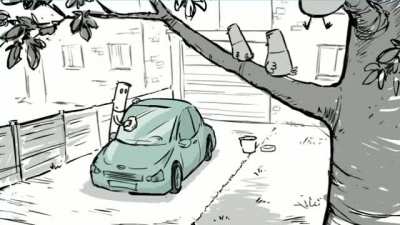 Birds patiently stalk a car being washed