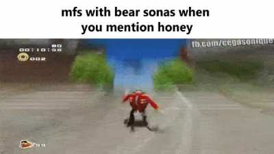 bears_irl
