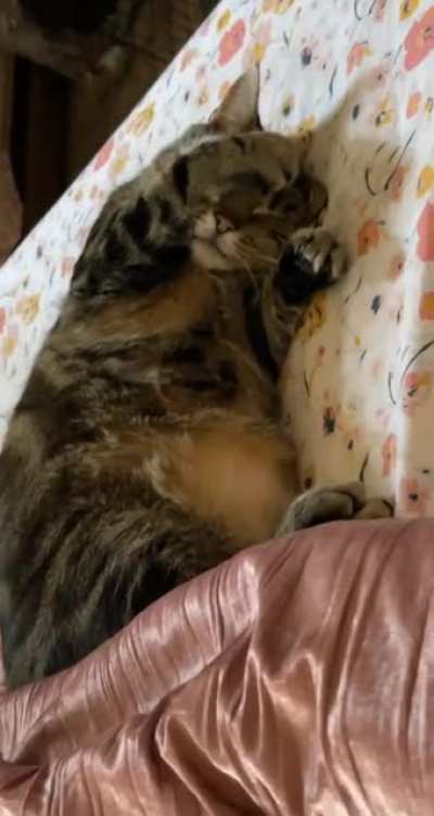 Snoozin’