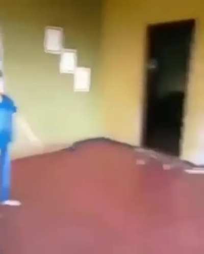 Bonk
