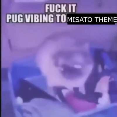 XD