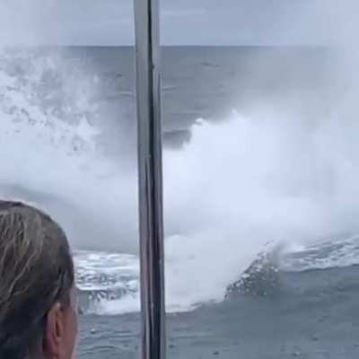 Absolute UNIT Of a Whale Emerges from the Ocean!