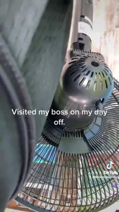 What can I do on my day off?