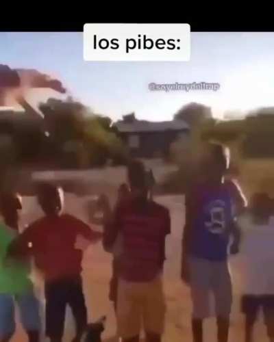 Viva