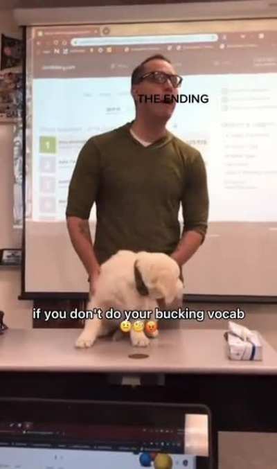 Don’t bring the dog into this