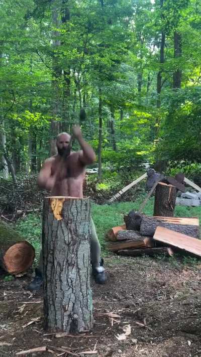 of a log split