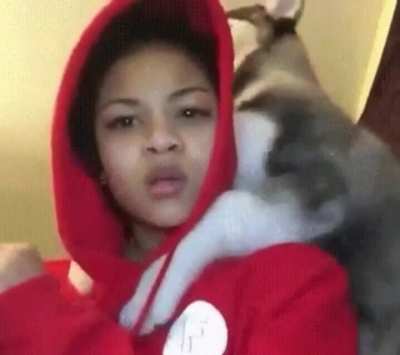 Dancing with dog