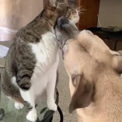 your turn