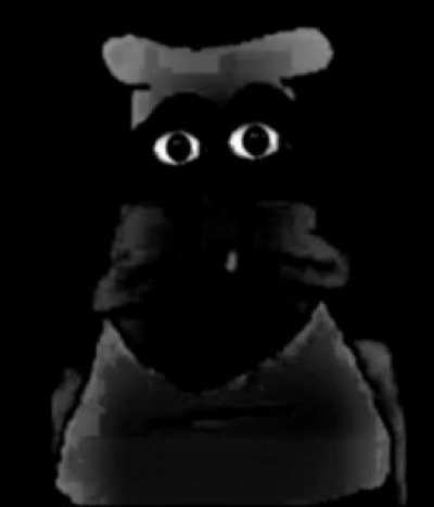 Furry