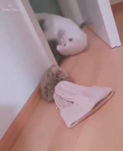 Startled Hesitation Over Touque