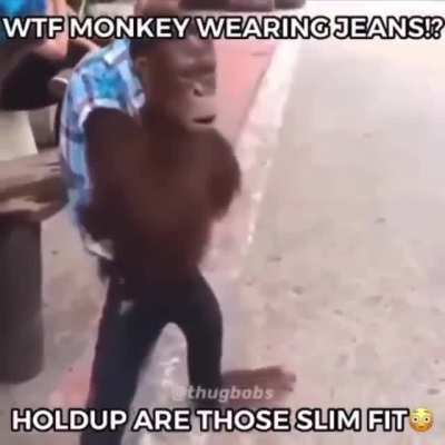 Monkey Rule