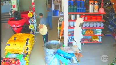 Uma arma nas mãos de uma pessoa decente sempre pode salvar vidas