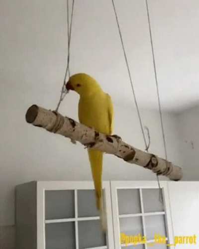 me irl