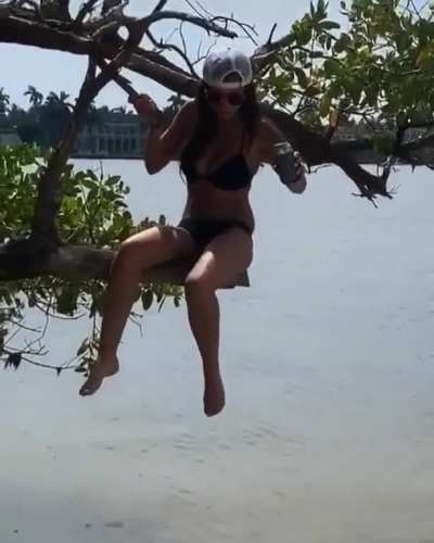 Posing on a tree branch over the water