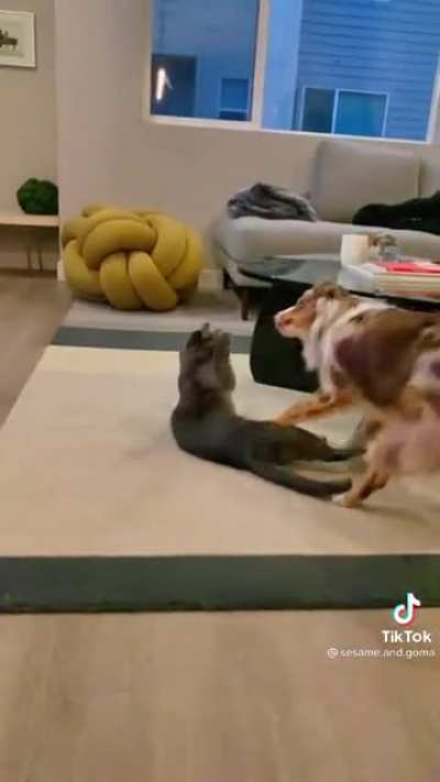 Epic Battle