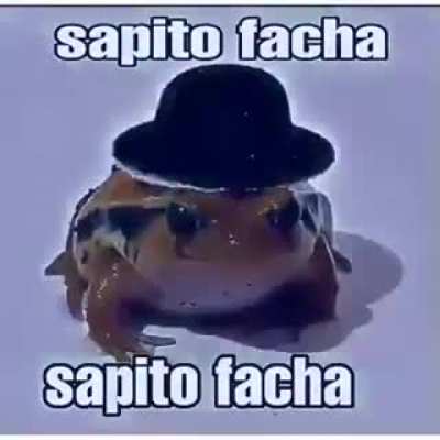 Facha🎩