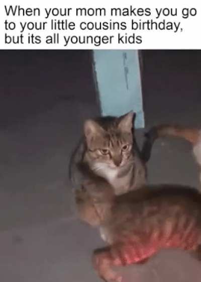 please don't make me go