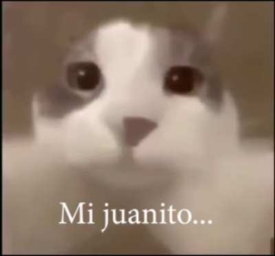 <3