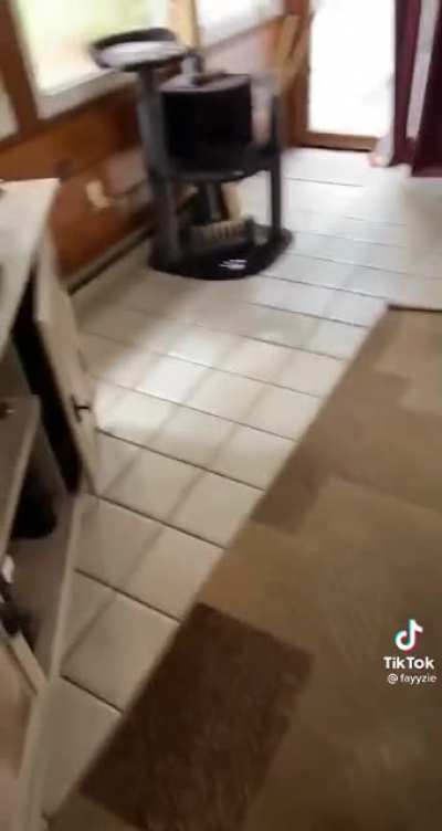 The audacity of that outlet.