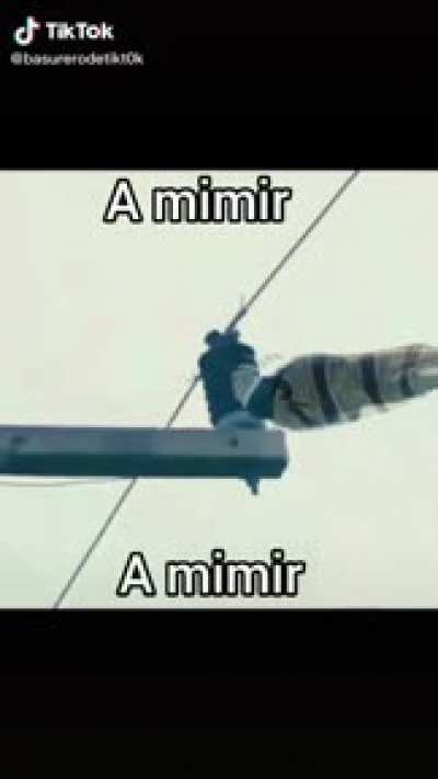 A mimir