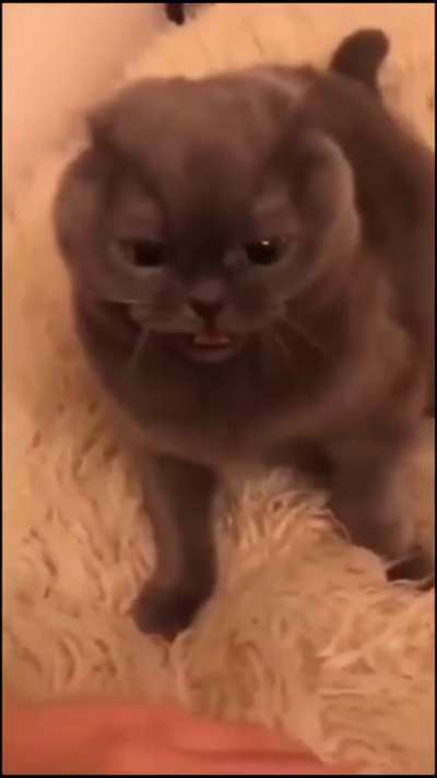 Кусь