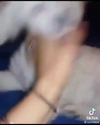 No